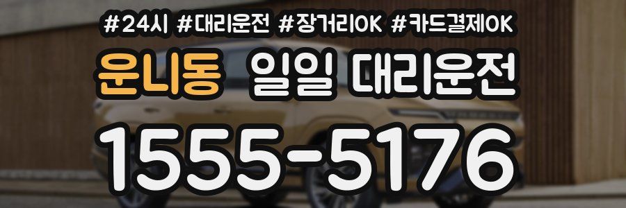 운니동 일일 대리운전