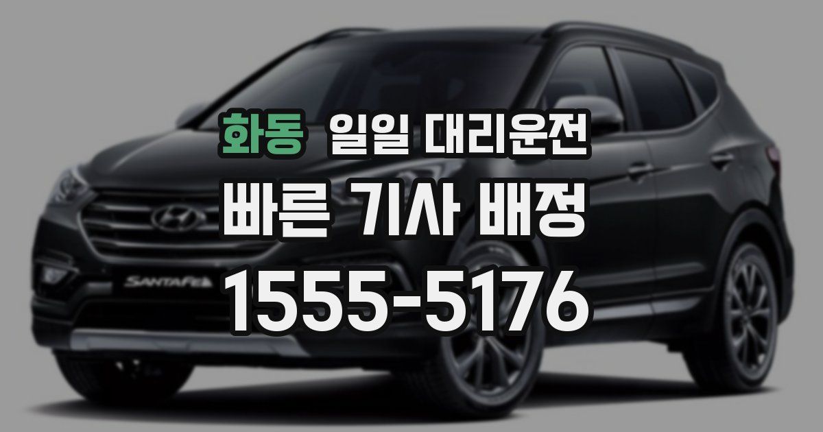 화동 일일 대리운전