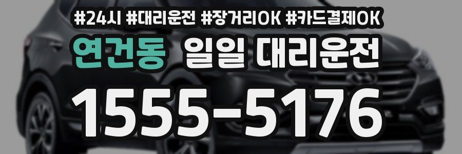 연건동 일일 대리운전