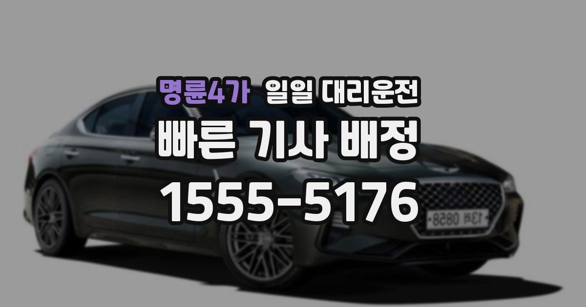 명륜4가 일일 대리운전