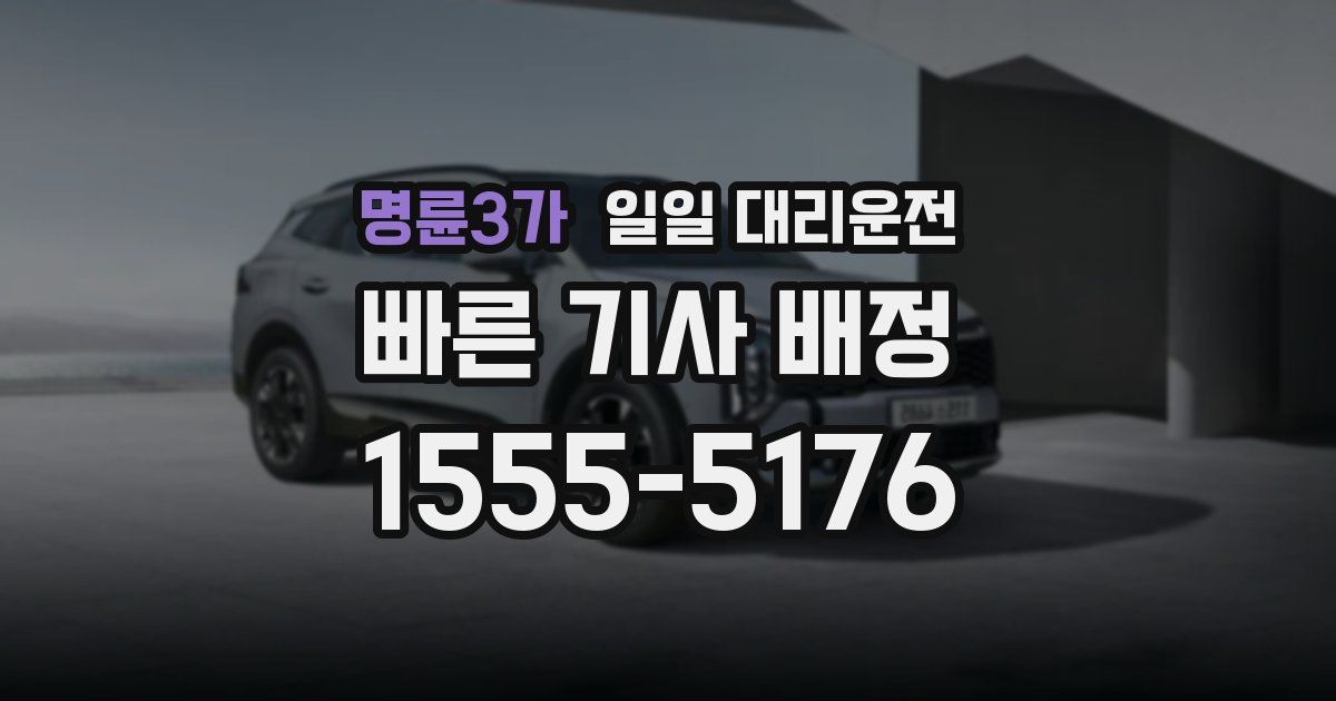 명륜3가 일일 대리운전
