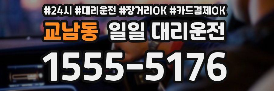 교남동 일일 대리운전