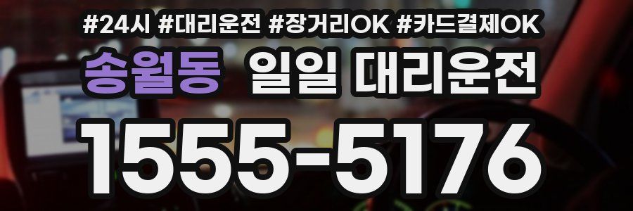송월동 일일 대리운전