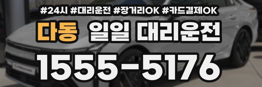 다동 일일 대리운전