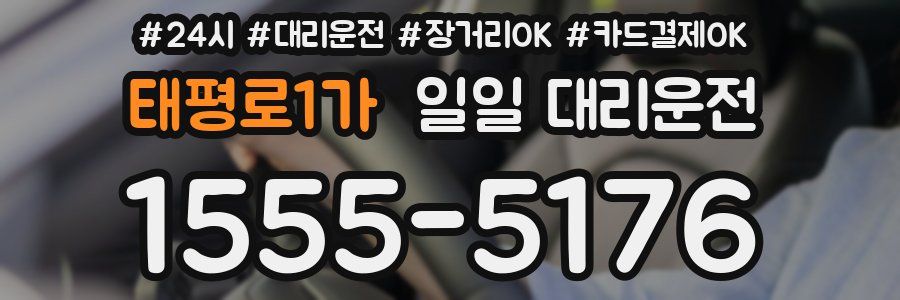 태평로1가 일일 대리운전
