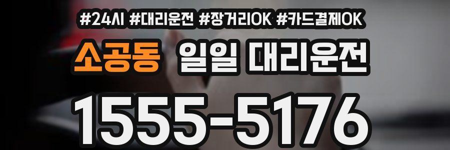 소공동 일일 대리운전