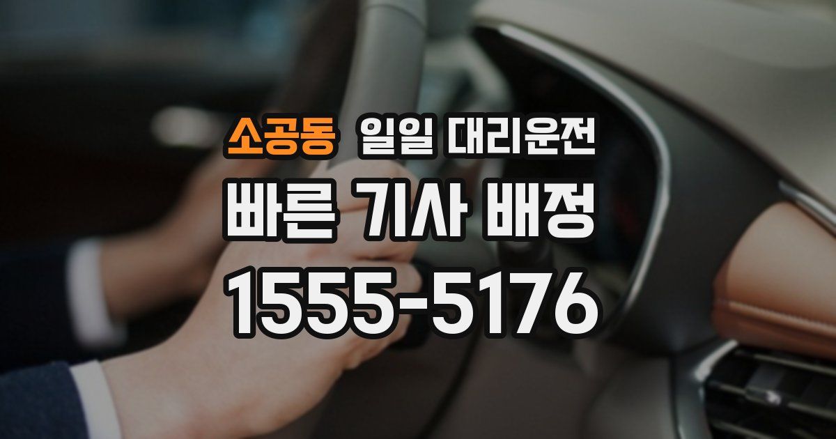 소공동 일일 대리운전