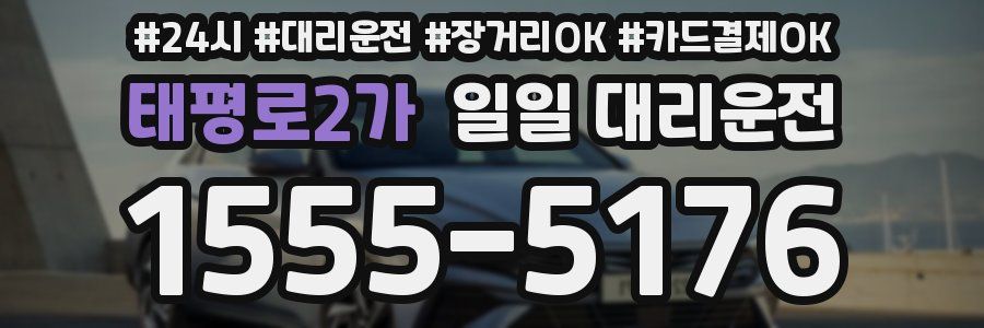 태평로2가 일일 대리운전