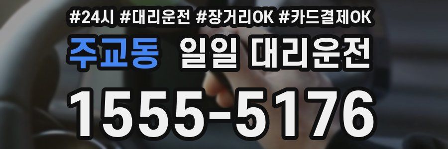 주교동 일일 대리운전