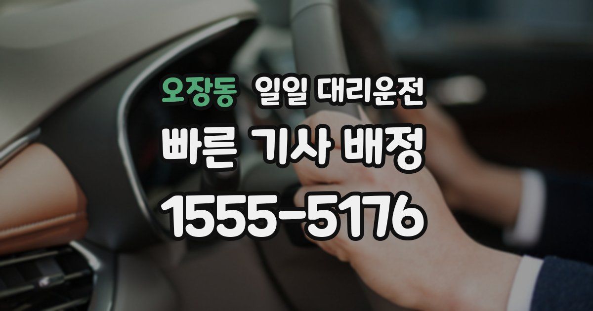 오장동 일일 대리운전