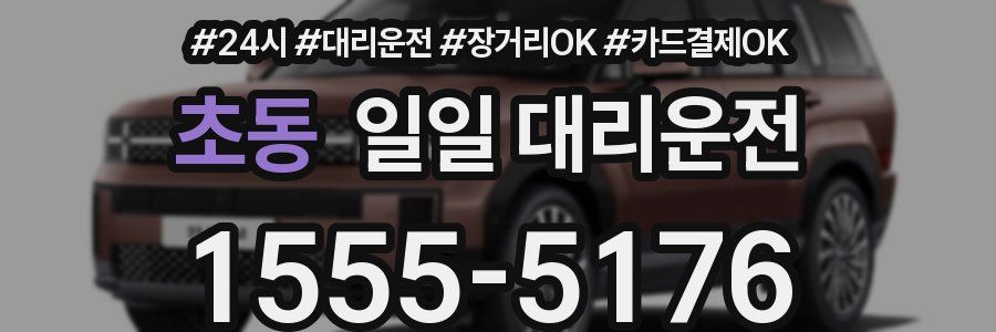 초동 일일 대리운전