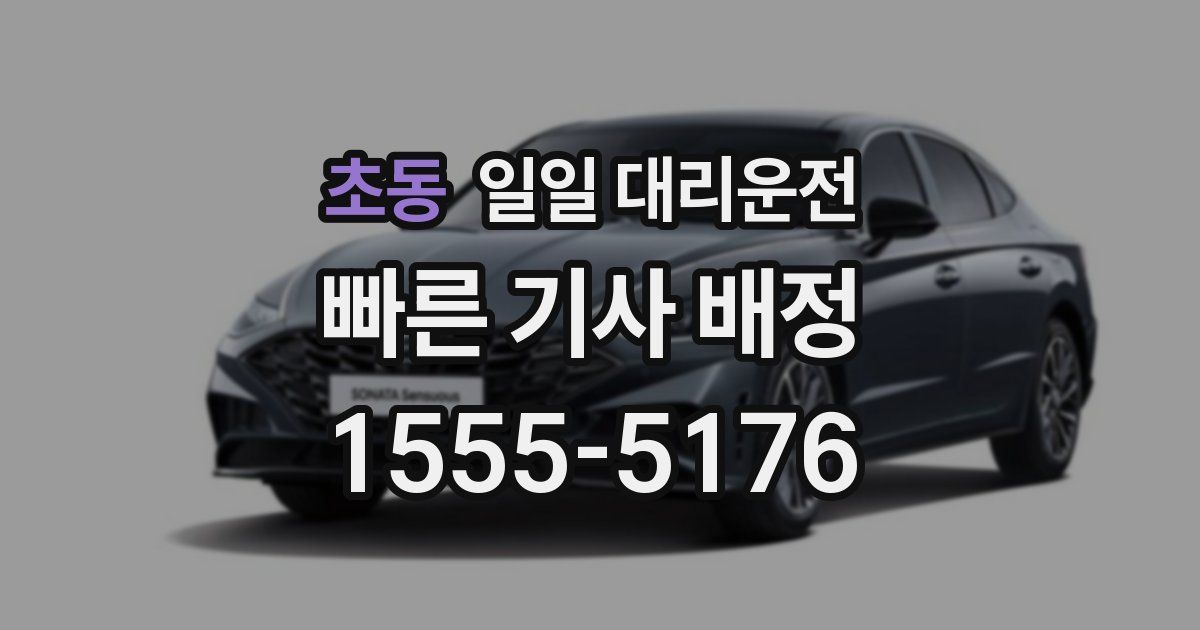 초동 일일 대리운전
