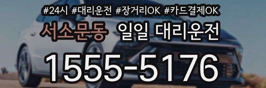 서소문동 일일 대리운전