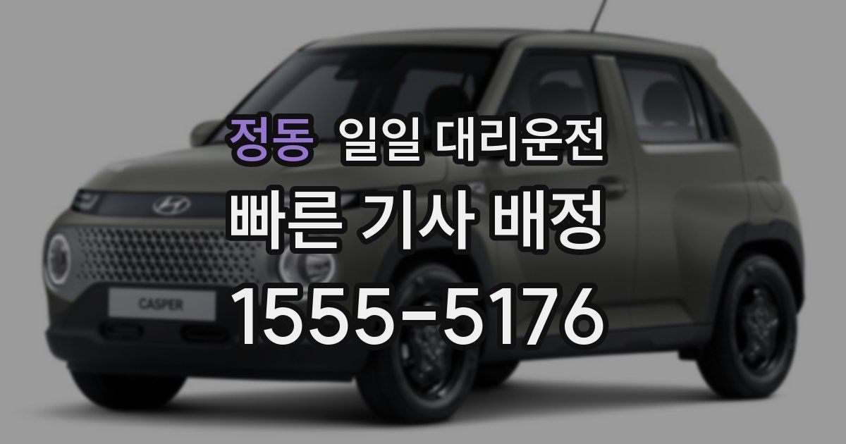 정동 일일 대리운전