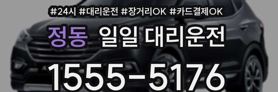 정동 일일 대리운전