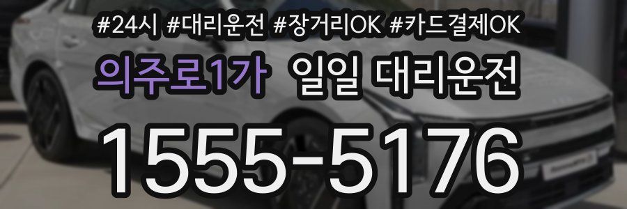 의주로1가 일일 대리운전