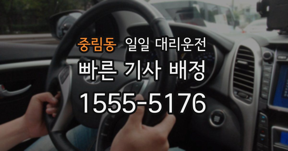 중림동 일일 대리운전