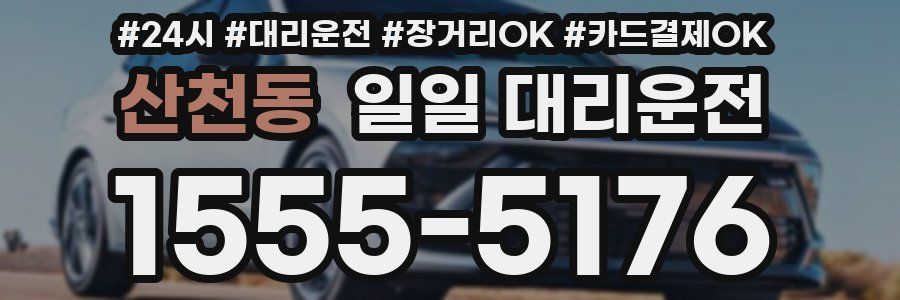 산천동 일일 대리운전