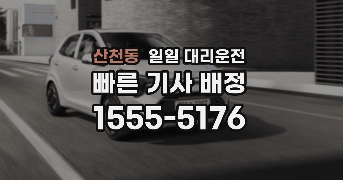 산천동 일일 대리운전