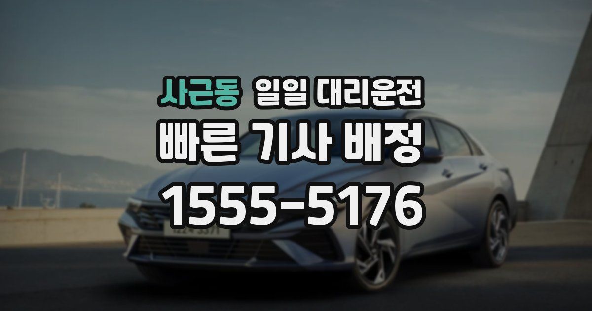 사근동 일일 대리운전
