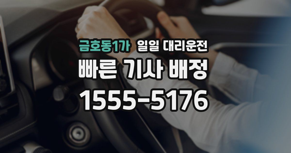 금호동1가 일일 대리운전