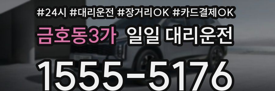 금호동3가 일일 대리운전