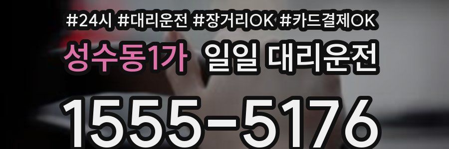 성수동1가 일일 대리운전