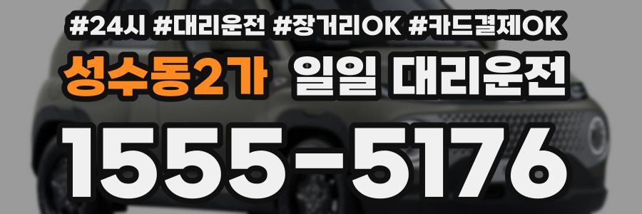 성수동2가 일일 대리운전