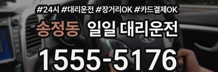 송정동 일일 대리운전