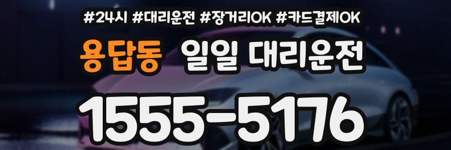용답동 일일 대리운전