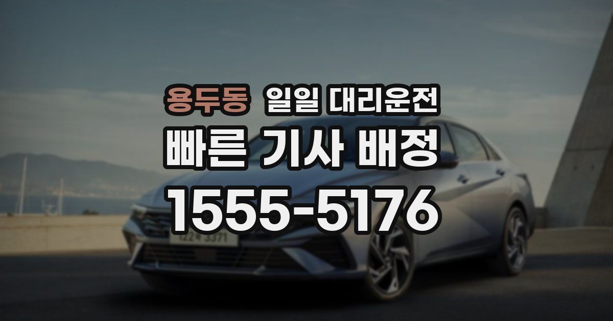 용두동 일일 대리운전