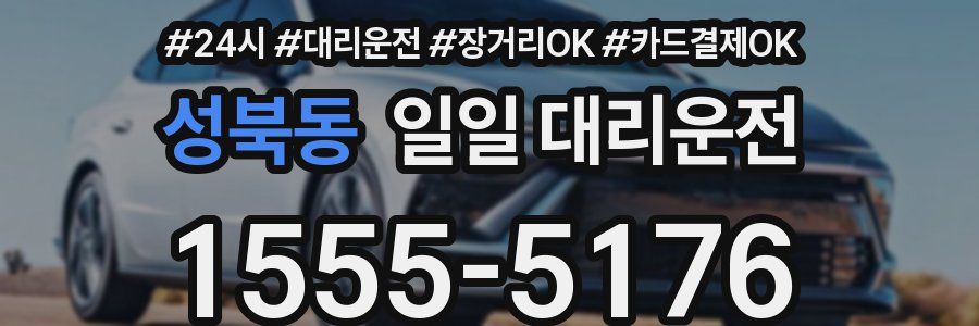 성북동 일일 대리운전