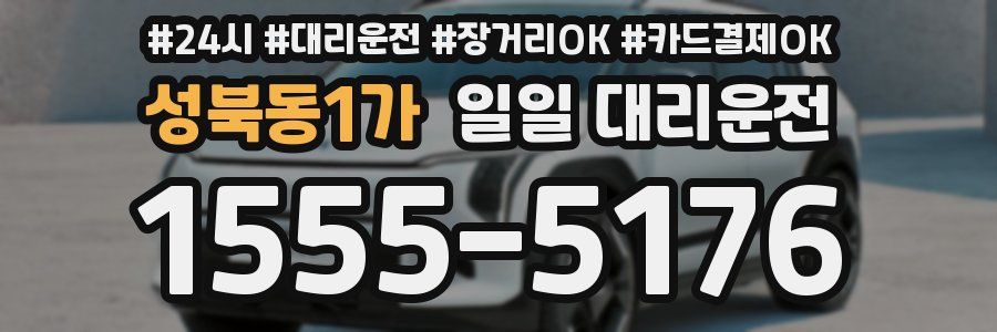 성북동1가 일일 대리운전