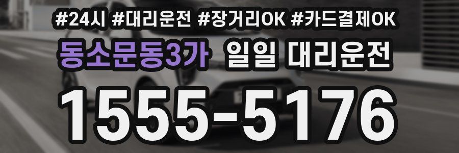 동소문동3가 일일 대리운전