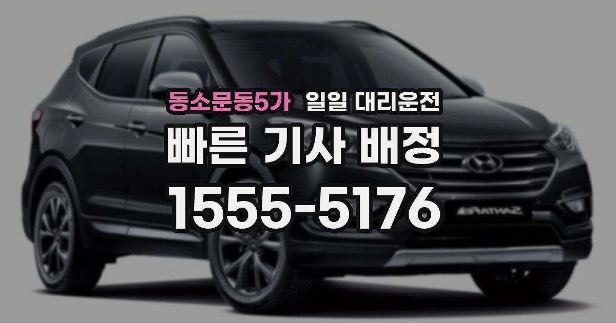 동소문동5가 일일 대리운전
