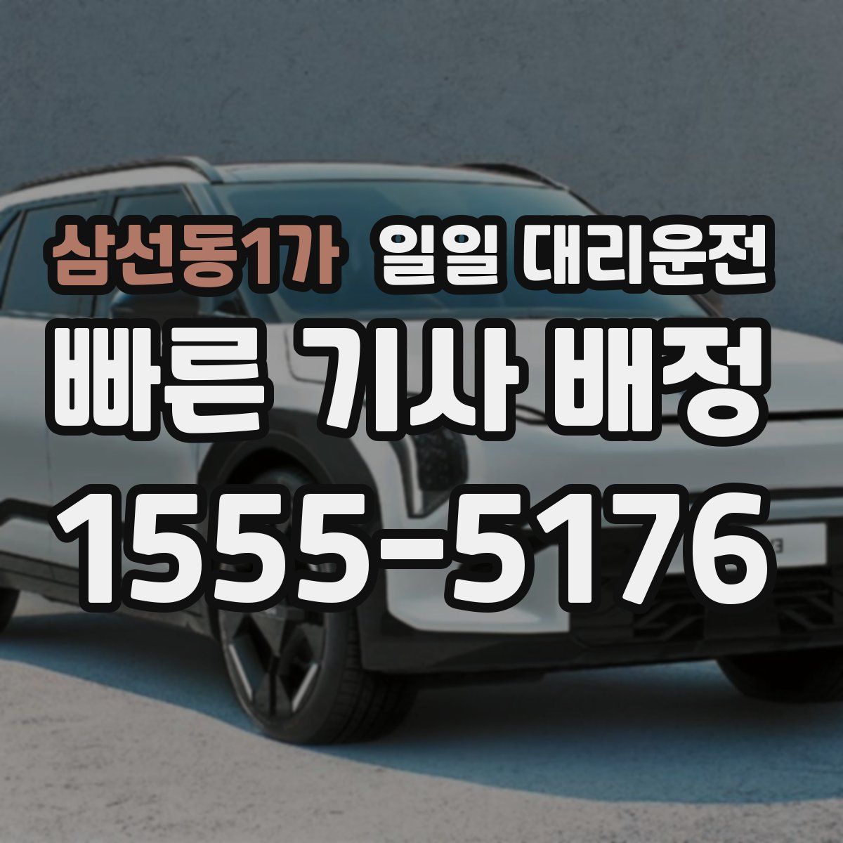삼선동1가 일일 대리운전