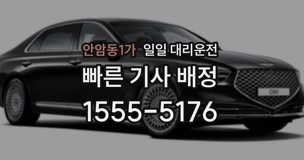 안암동1가 일일 대리운전