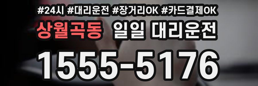 상월곡동 일일 대리운전