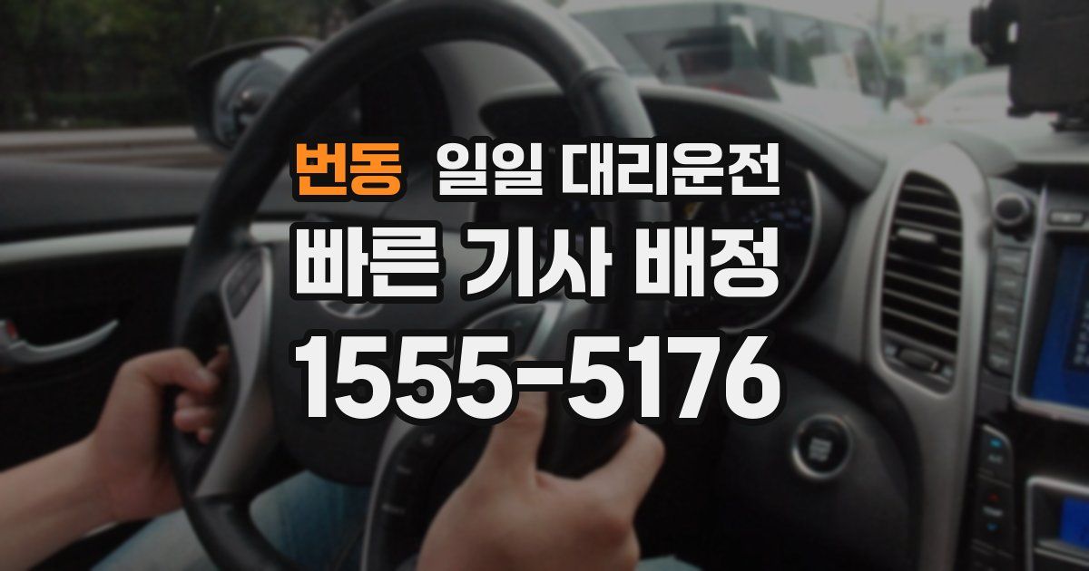 번동 일일 대리운전