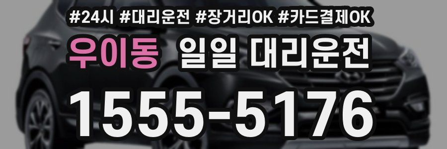 우이동 일일 대리운전