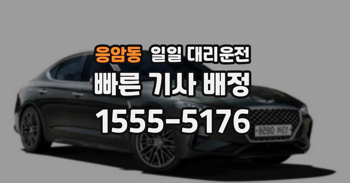 응암동 일일 대리운전