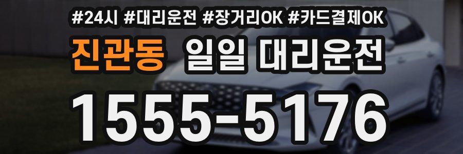 진관동 일일 대리운전