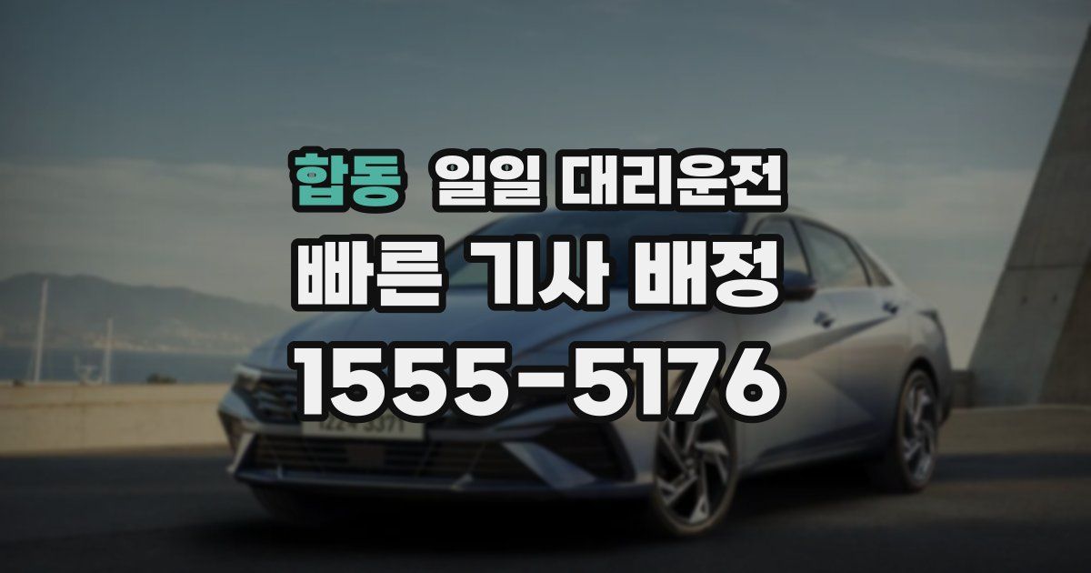 합동 일일 대리운전