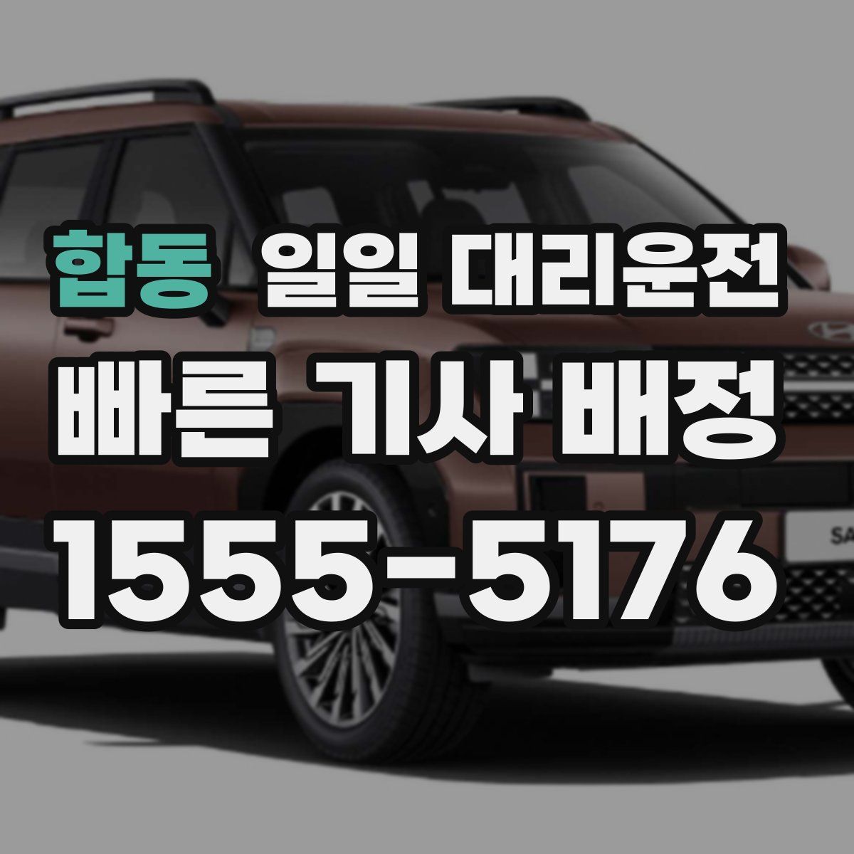 합동 일일 대리운전