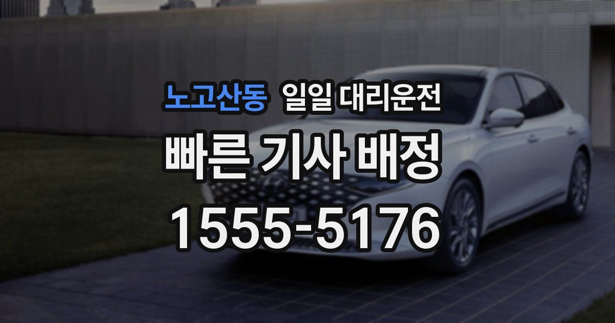 노고산동 일일 대리운전