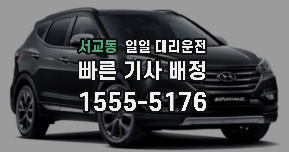 서교동 일일 대리운전
