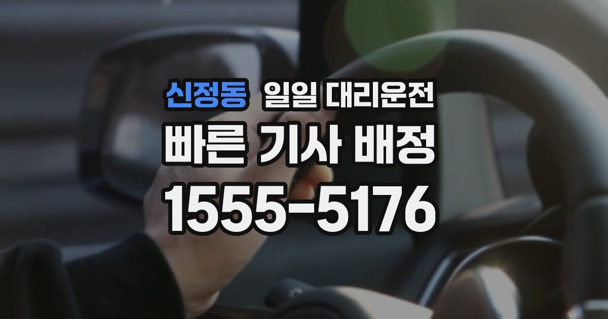 신정동 일일 대리운전