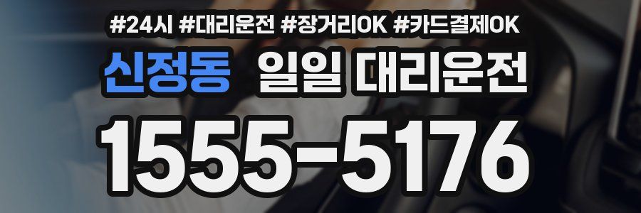 신정동 일일 대리운전