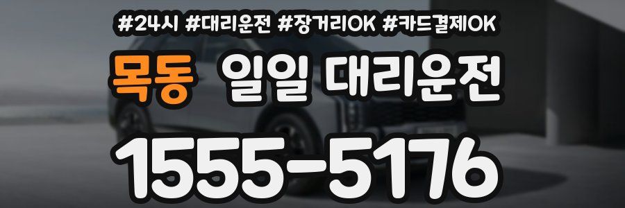 목동 일일 대리운전
