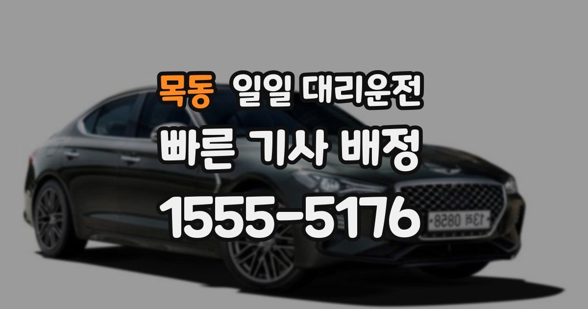 목동 일일 대리운전